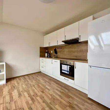 아파트 Utulny Apartman V Centru Sky 브르노